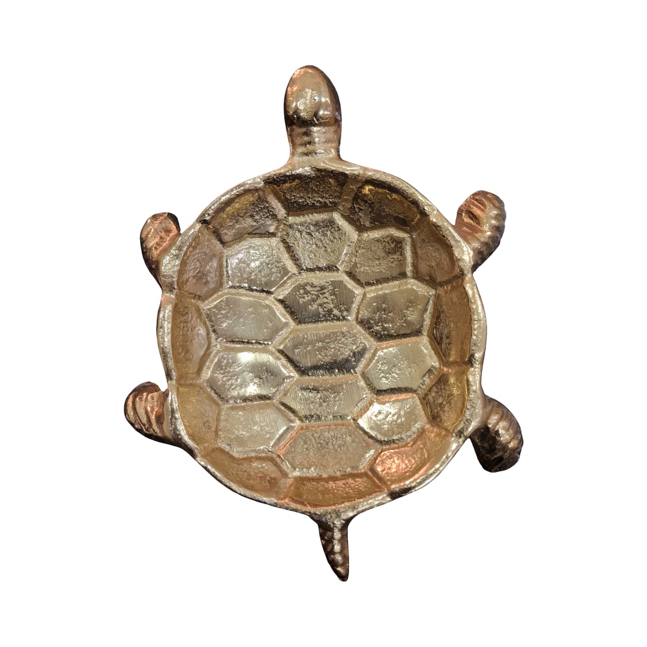Turtle Decorative Bowl by Ashland®